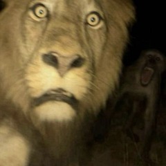 Skin walker 2 P.Twovrt