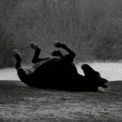 тёмный принц - кипит кровь