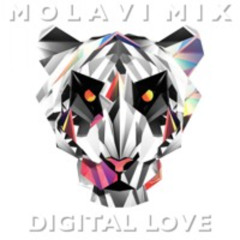 MOLAVI MIX - DIGITAL LOVE