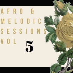 Afro & Melodic Sessions #5 | with &friends, Imad, Kienemusik, Ajna, Black Coffee & more