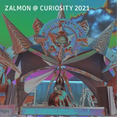 Zalmon @ Inquiry: Curiosity 2021