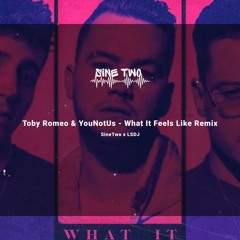 Toby Romeo & YouNotUs - What It Feels Like (SineTwo X LSDJ Remix)