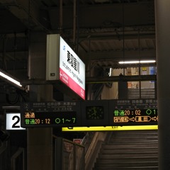WRIGGLED NEYAGAWA ZONE