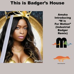 Appreciate Me (This is Badger's House Mix)