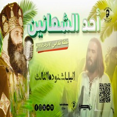 عظة قداس أحد الشعانين كاملة