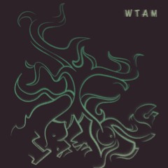 WTAM - I BELONG (Prod. WTAM)
