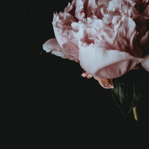 DEBO (IonWannaFuckOnThatBihh) Ft. B.O.Y [Khozee Remix]
