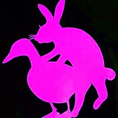 Groovy Bunny