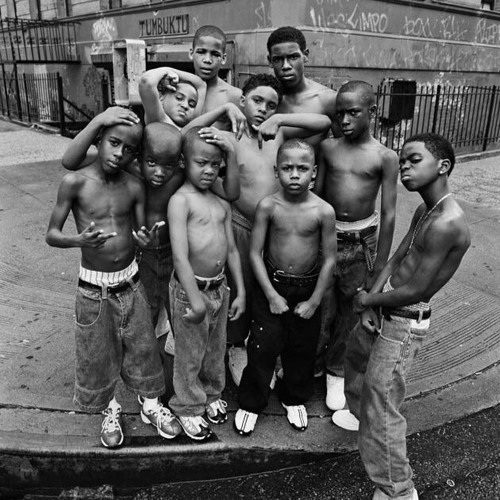 BLVCKROOTZ -BLACKPOWS -