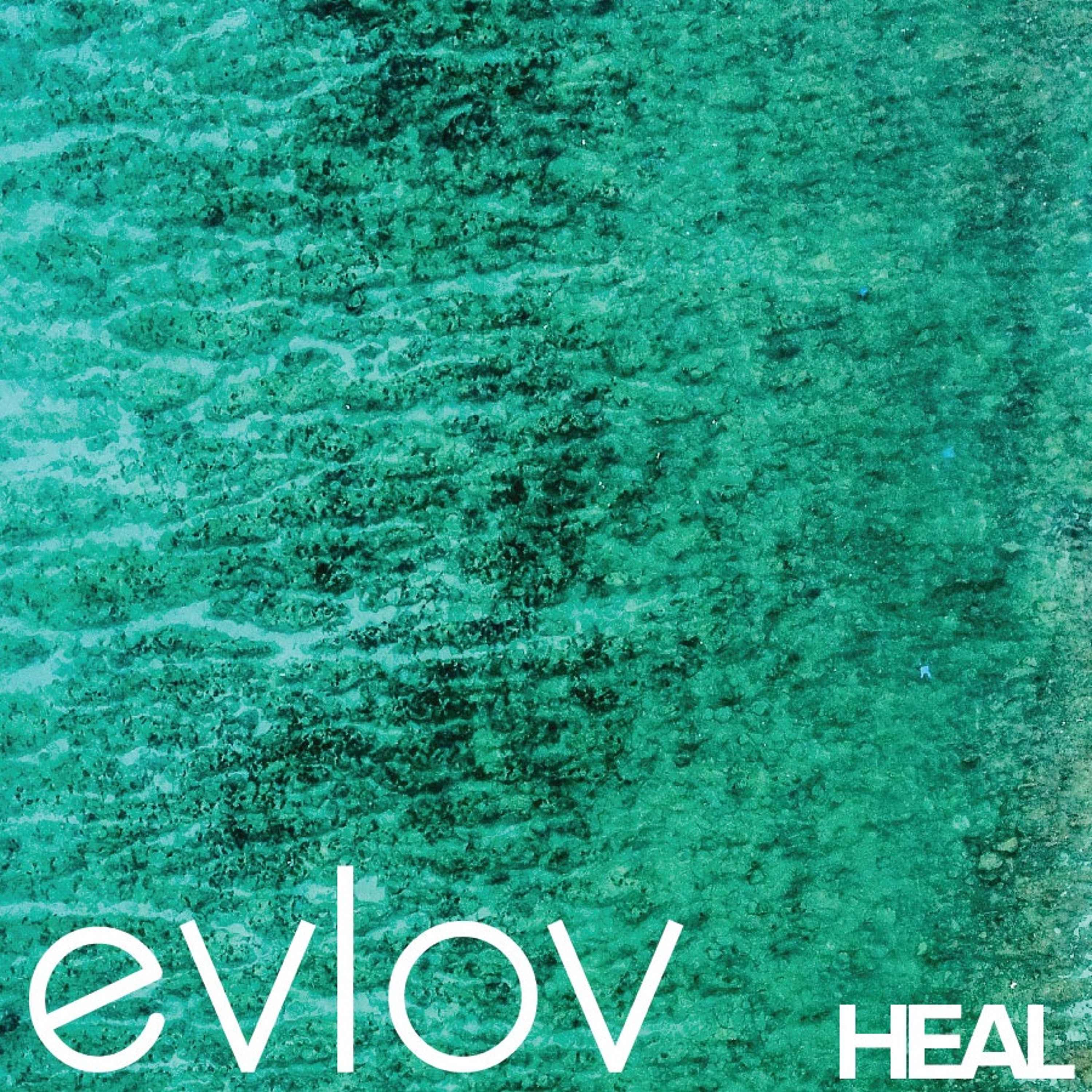 Evlov Music - A Sonic Journey