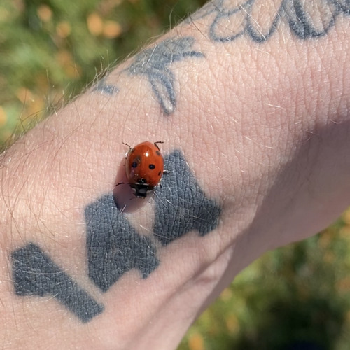 @JakeGray WhenWeDrop+ (prod. SUZUKKI)