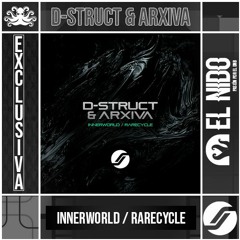 D-Struct & Arxiva - Rarecycle (Skalator Music) [El Nido DNB Exclusive Preview]