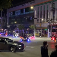 심심한데 입건?