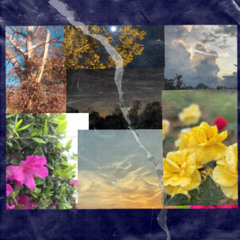 Don’t confuse me. [Ft. Muggie] (Prod. Lucas Quinn)