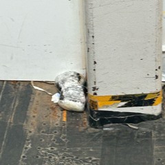 なんだこれミステリー!! beats by. sorrymybae