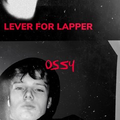 Lever For Lapper