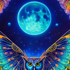 WOOK WEAR x CRUSH x EVERYTHING IS BAD Mash