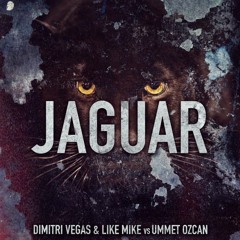 Jaguar vs. Drunk In Love (DV&LM VIP Mashup)