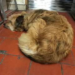 je n'étais pas précisèment triste, j'étais seul.. (Henri Bosco)