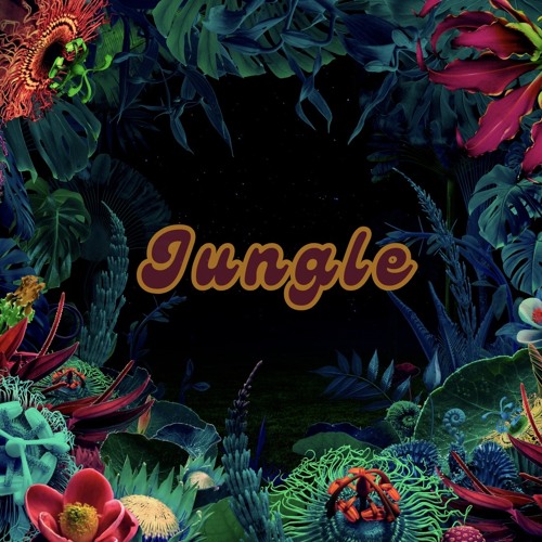 🌴Jungle in the morning🌴