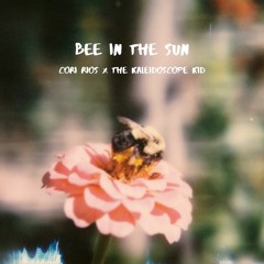 Bee in the Sun Ft. The Kaleidoscope Kid