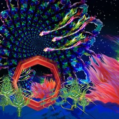 Quant'Om Release