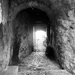 [FREE DL] ESCAPE THE MATRIX feat. TRINITY (M333 - P5)