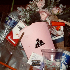 R.I.P. - Playboi Carti (rez@ remix)