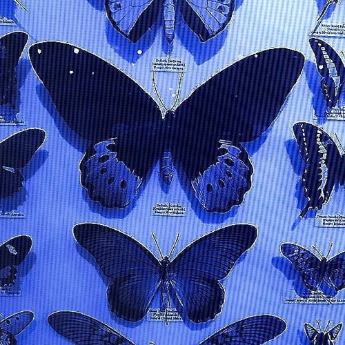 i can't take it anymore ll(speed up)