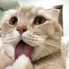 เผื่อลืม cover by master