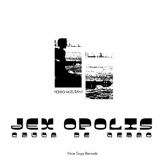Pedro Mizutani - Chuva De Verao (Jex Opolis Remix)