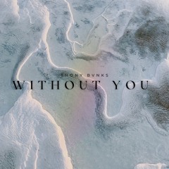 Without You