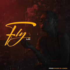 Fly