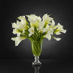 Lovely Flower