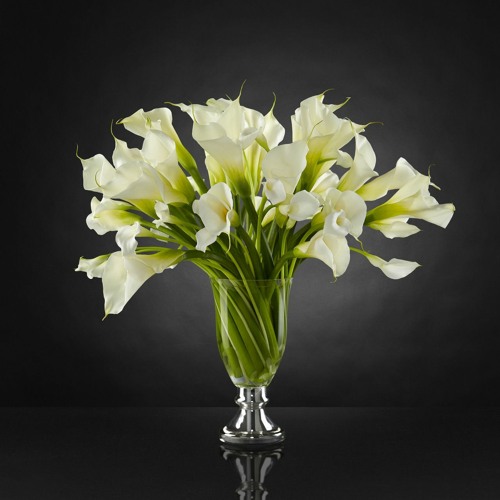 Lovely Flower