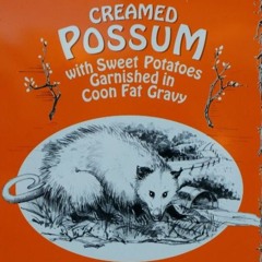 Cream Of Possum Soup by Oussama Arichi & Nadia Selvaggi