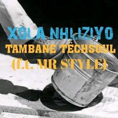 Tambane_TëchSoul - Xola Nhliziyo(f.t Mr Style) .mp3