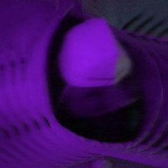 SWIISH 1K X KARITHEGOD~ DIOR DENIMZ(prod. by 5dollars)