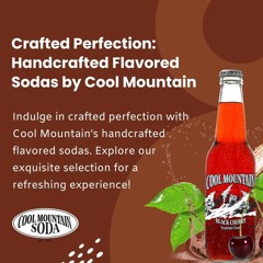 Hand Crafted Flavored Sodas: Unique Artisanal Beverages Online