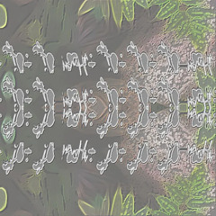wild lettuce ticture