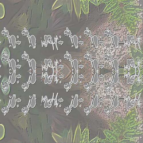 wild lettuce ticture