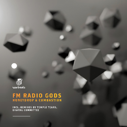 FM Radio Gods - Combastion (Temple Tears Remix)