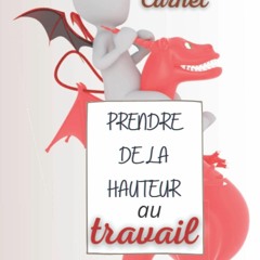 Ebook (download) PRENDRE DE LA HAUTEUR AU TRAVAIL: Carnet de bord pour mon aventure profes