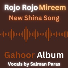 Rojo Rojo Mireem | New Shina Song | Gahoor Album | Salman Paras