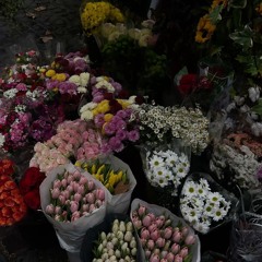 Daydreams x Last Christmas