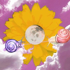 twinkle twinkle robot star