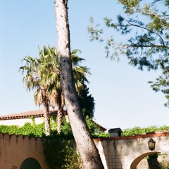 DJ Set From The Garden