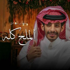 سلطان الفهادي - الملح كله