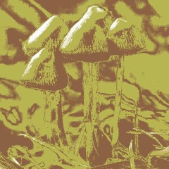 cCSix <and> kurKein Di jEi // chinuKi mixX ..)