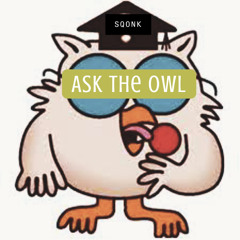 Ask The Owl